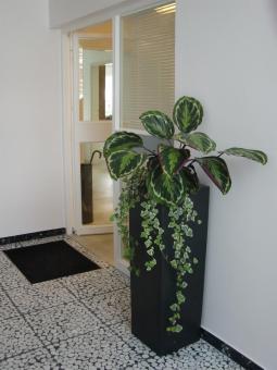 Bild - Praxiseingang